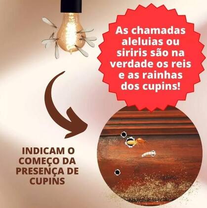 Mata Cupim Jimo Spray Incolor 400ml - Imagem 2